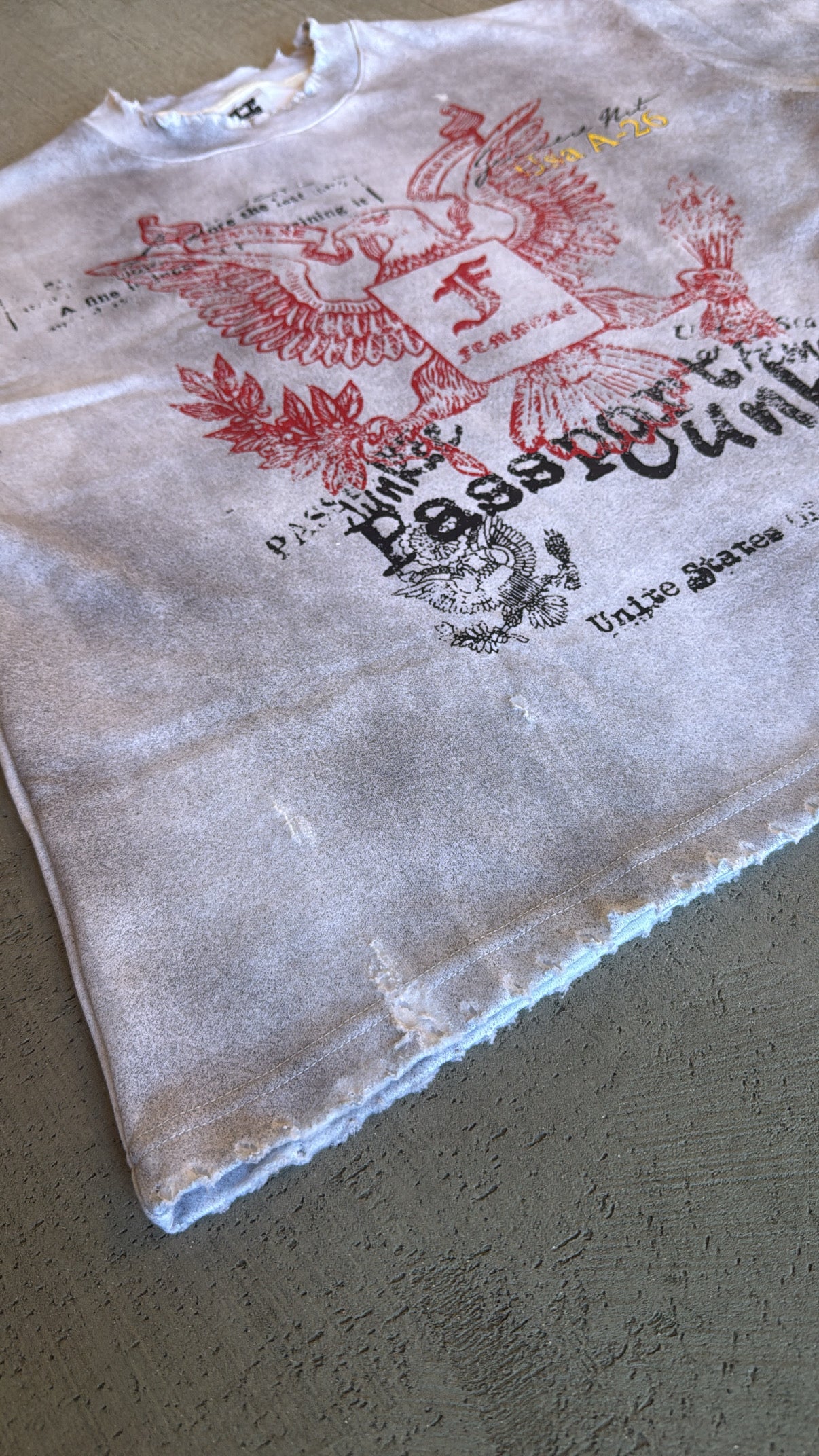 Passport Junkie (tee)