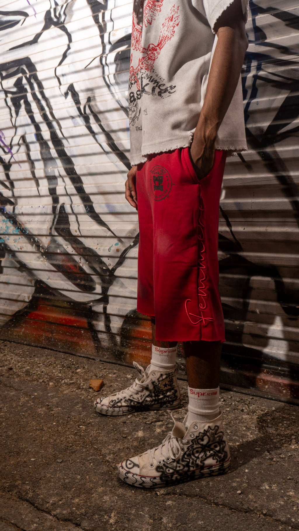 “Passport Junkie”  red shorts
