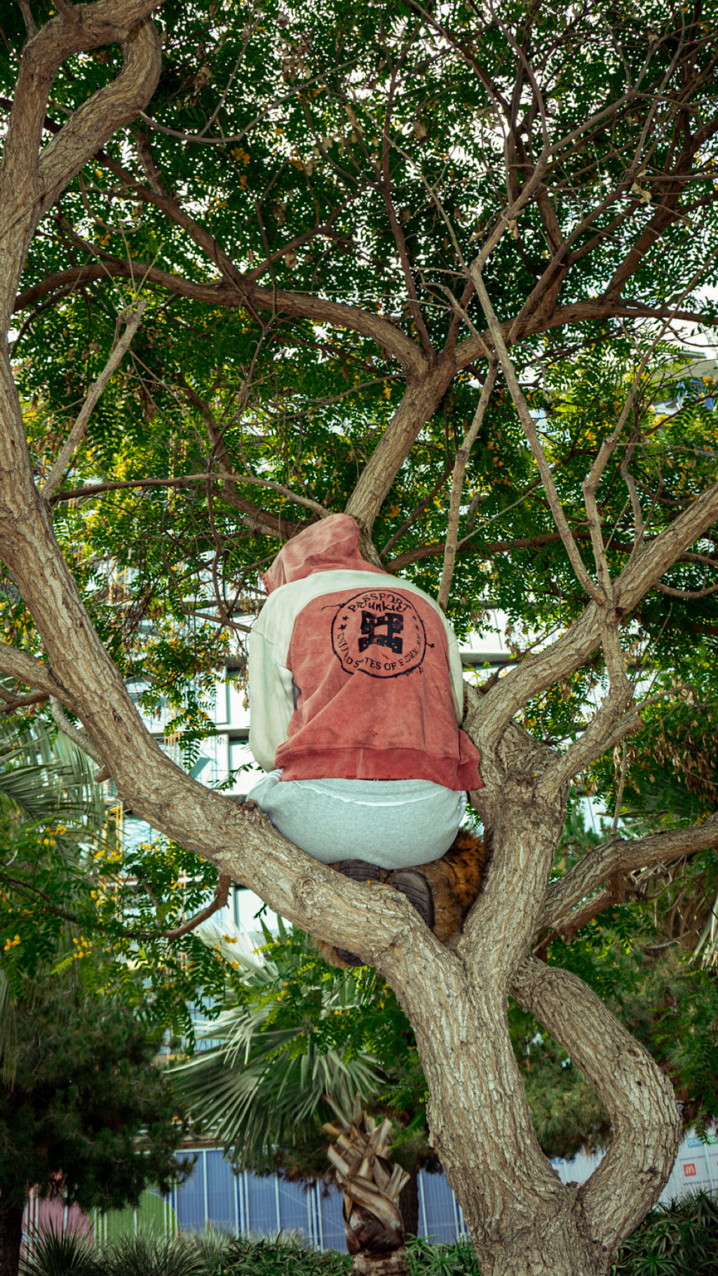 “Passport Junkie” jacket