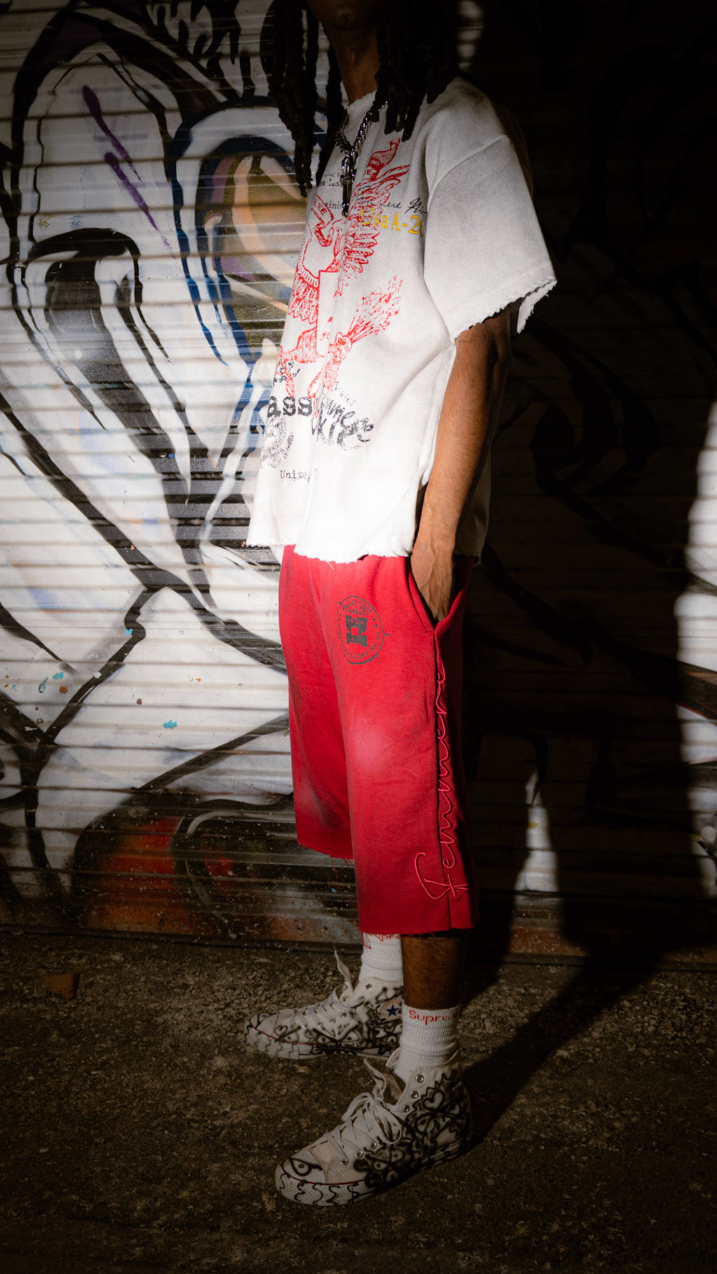 “Passport Junkie”  red shorts